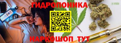 скорость Пугачёв