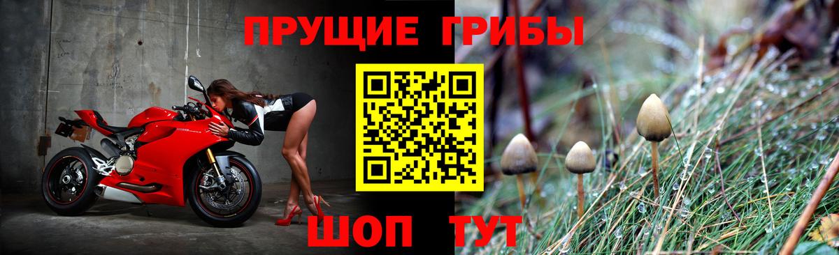 Нерюнгри  Псилоцибиновые грибы мухоморы  купить  сайты  Вход с VPN 